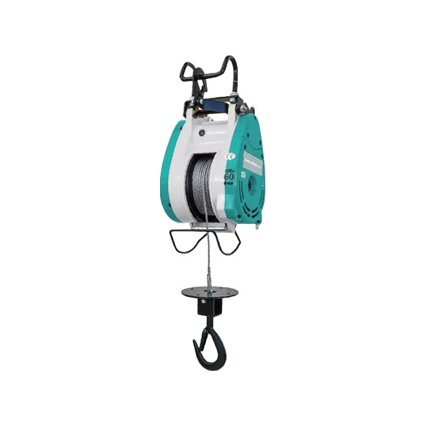 Argano elettrico professionale 220 V